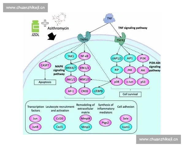 红斑狼疮的早期诊断与治疗策略探讨及患者生活质量的提升方法